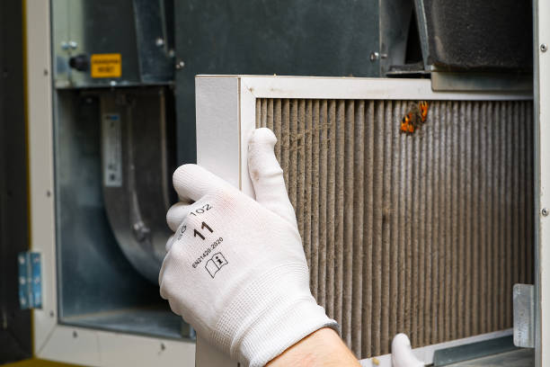Best Air Duct Cleaning Company Near Me  in Holtsville, NY