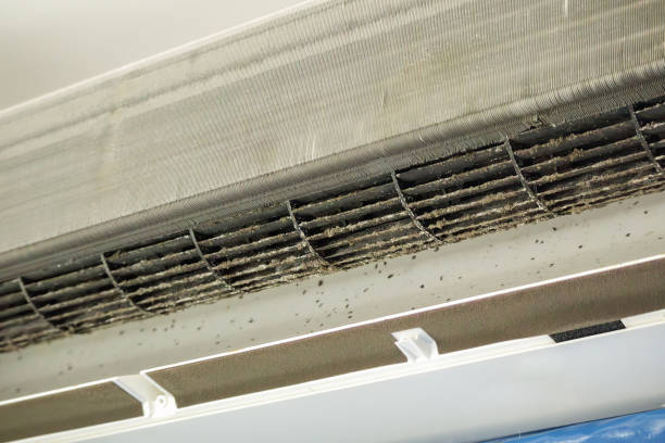 Best Affordable Air Duct Cleaning  in Holtsville, NY